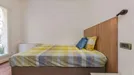 Room for rent, Ferrara, Emilia-Romagna, Via Correggiari