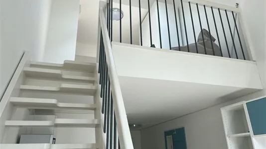 Apartments in Dresden - photo 8