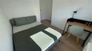 Room for rent, Guadalajara, Castilla-La Mancha, Calle de San Roque