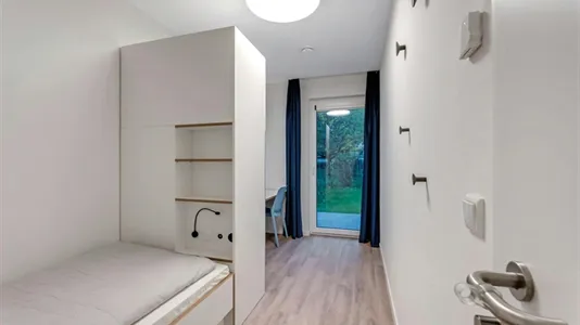 Rooms in Berlin Treptow-Köpenick - photo 2