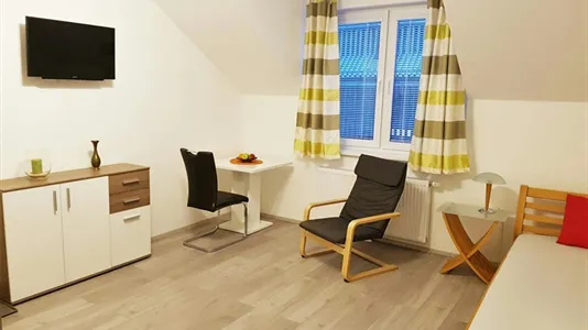 Apartments in Perchtoldsdorf - photo 4