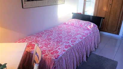 Room for rent in Florence, Toscana