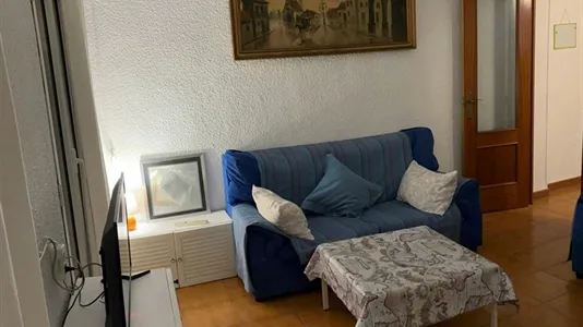 Apartments in Elche/Elx - photo 5