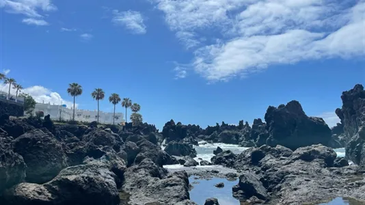 Apartments in Santiago del Teide - photo 3
