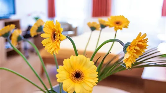 Apartments in Vienna Favoriten - photo 6