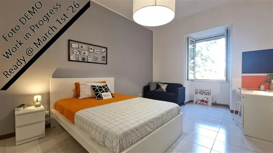 Rooms in Roma Municipio VIII – Appia Antica - photo 5