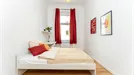 Room for rent, Berlin Treptow-Köpenick, Berlin, Tabbertstraße