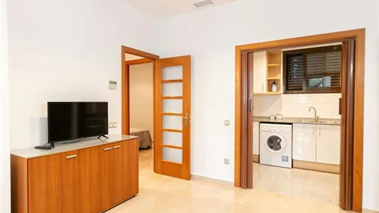 Apartments in Barcelona Sants-Montjuïc - photo 7