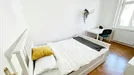 Room for rent, Wien Währing, Vienna, Gentzgasse