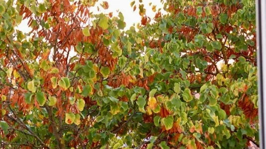 Rooms in Location is not specified - photo 7