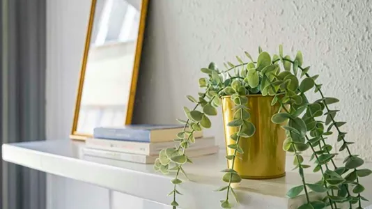 Rooms in Madrid Centro - photo 5