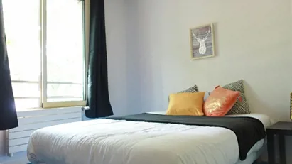 Room for rent in Lyon, Auvergne-Rhône-Alpes