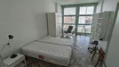 Room for rent, Milano Zona 9 - Porta Garibaldi, Niguarda, Milan, Via Valtellina