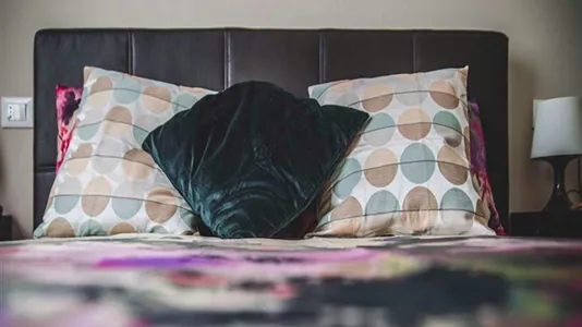 Rooms in Milano Zona 2 - Stazione Centrale, Gorla, Turro, Greco, Crescenzago - photo 10