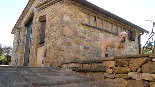 Houses in Fiesole - photo 1