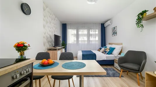 Apartments in Budapest Ferencváros - photo 3