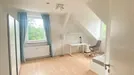 Room for rent, Potsdam, Brandenburg, Geschwister-Scholl-Straße