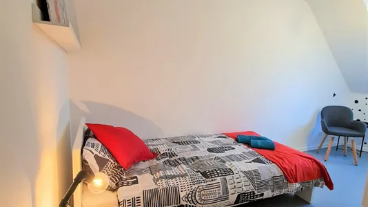 Rooms in Bonn - photo 6