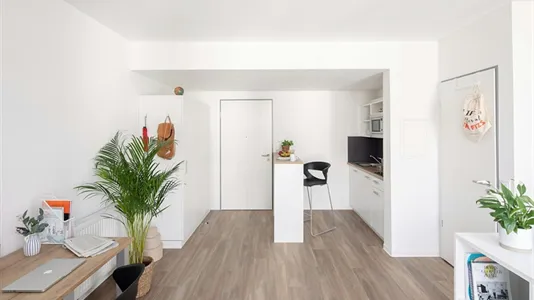 Apartments in Aachen - photo 5