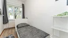 Room for rent, Berlin Treptow-Köpenick, Berlin, Hainstraße