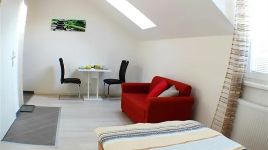 Apartments in Perchtoldsdorf - photo 4