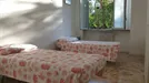 Room for rent, Milano Zona 6 - Barona, Lorenteggio, Milan, Piazza Simone Bolivar