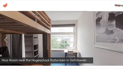 Room for rent in Rotterdam