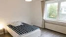 Room for rent, Dusseldorf, Nordrhein-Westfalen, Karlstraße