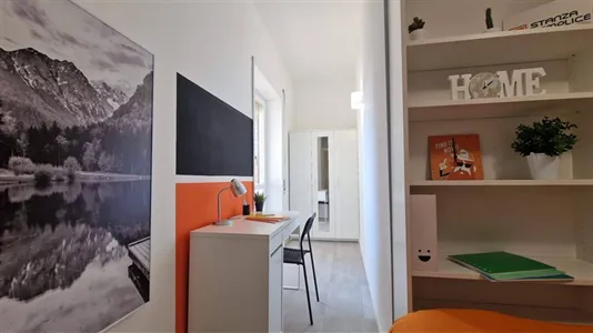 Rooms in Roma Municipio VIII – Appia Antica - photo 6