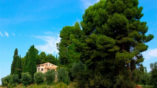 Apartments in La Puebla de Híjar - photo 9