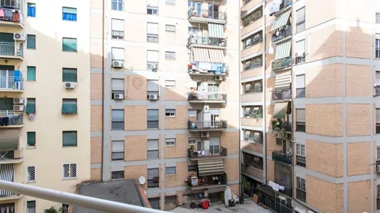 Rooms in Roma Municipio VIII – Appia Antica - photo 5