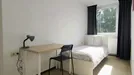 Room for rent, Dortmund, Nordrhein-Westfalen, Löwenstraße