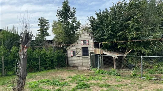 Houses in Hulst - photo 2