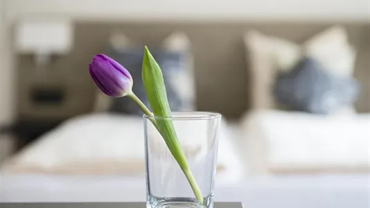 Apartments in Zürich Distrikt 5 - Industriequartier - photo 4