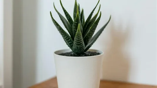 Rooms in Location is not specified - photo 5