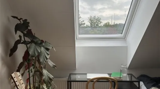 Houses in Kungälv - photo 4