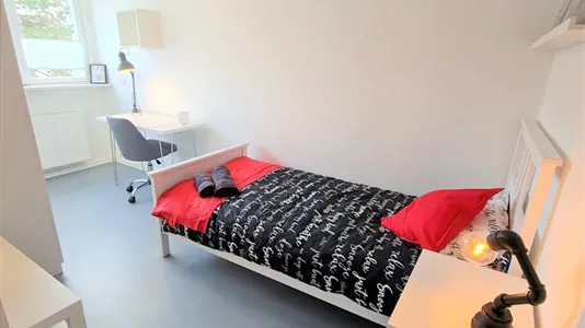 Rooms in Bonn - photo 2