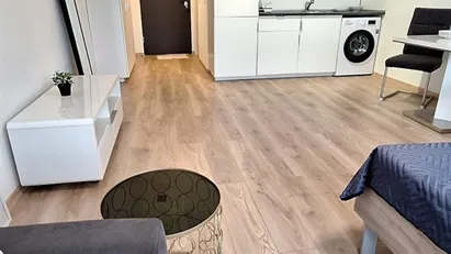 Apartment for rent in Budapest Terézváros, Budapest