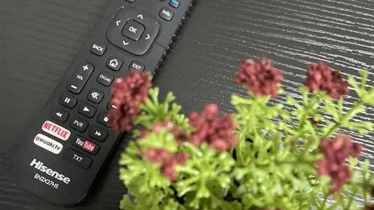 Apartments in Schiedam - photo 7