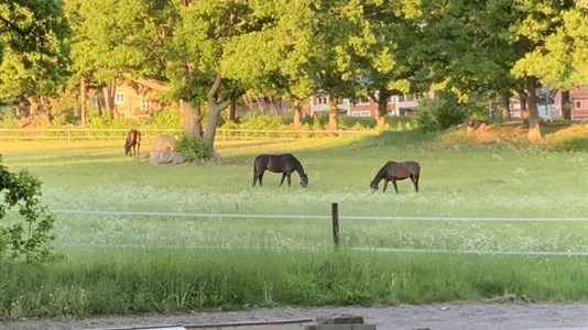 Apartments in Danderyd - photo 9