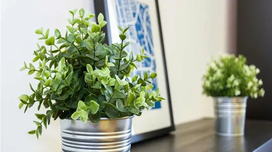 Rooms in Milano Zona 1 - Centro storico - photo 2