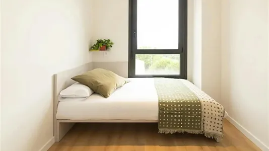 Apartments in Salamanca - photo 2