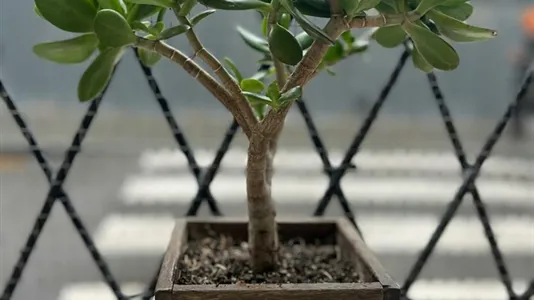 Rooms in Barcelona Ciutat Vella - photo 4