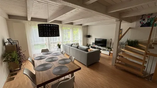 Houses in Arlesheim - photo 4