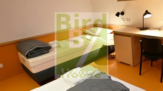 Rooms in Ferrara - photo 3