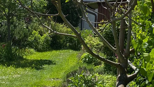 Houses in Meilen - photo 7