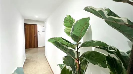 Rooms in Tavernes Blanques - photo 7