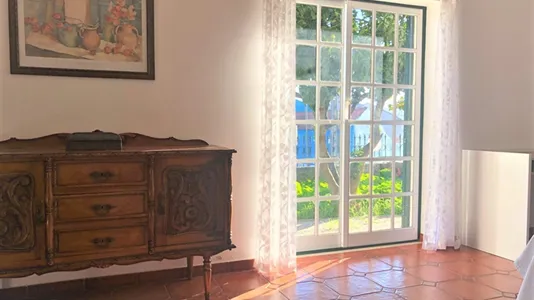 Houses in Cadaval - photo 6