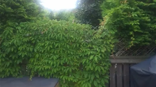 Houses in Huddinge - photo 14