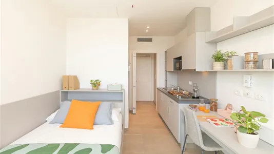 Apartments in Florence - photo 2